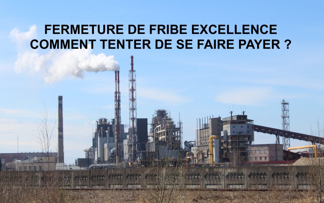 Liquidation de Fibre Excellence à Tarascon : Comment déclarer votre créance et tenter de récupérer votre argent