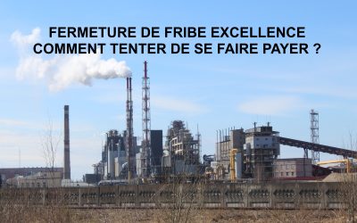Liquidation de Fibre Excellence à Tarascon : Comment déclarer votre créance et tenter de récupérer votre argent